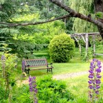 Beautiful gardens and mountain views at Whitewater Lodge in Golden BC
