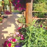 Beautiful gardens at log accommodation in Golden, BC