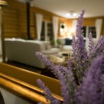 Relax at our cozy bed and breakfast in Golden, B.C